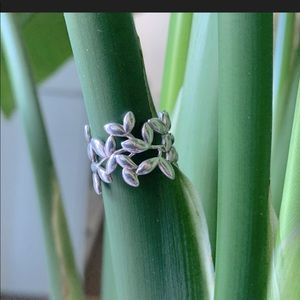 Tiffany & Co, Paloma Picasso, Olive Leaf Band Ring